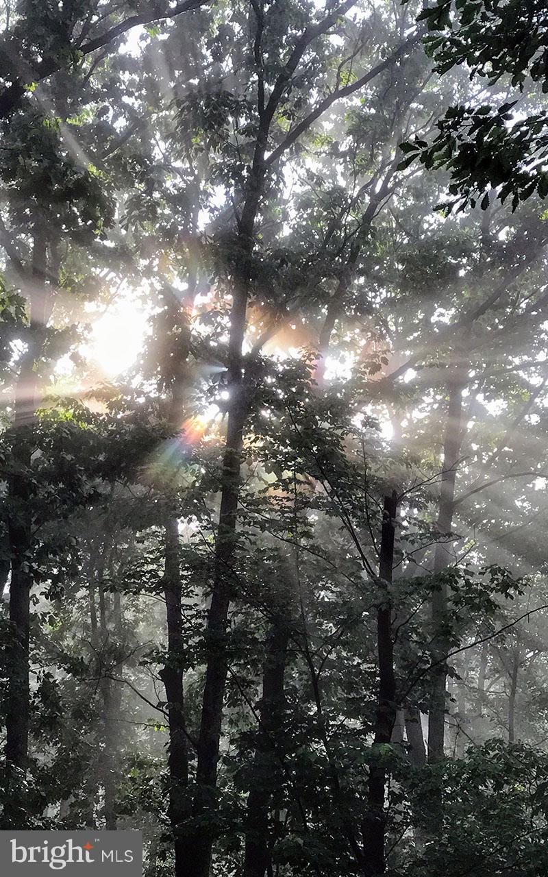 QUAIL RUN MOUNTAIN - Residential