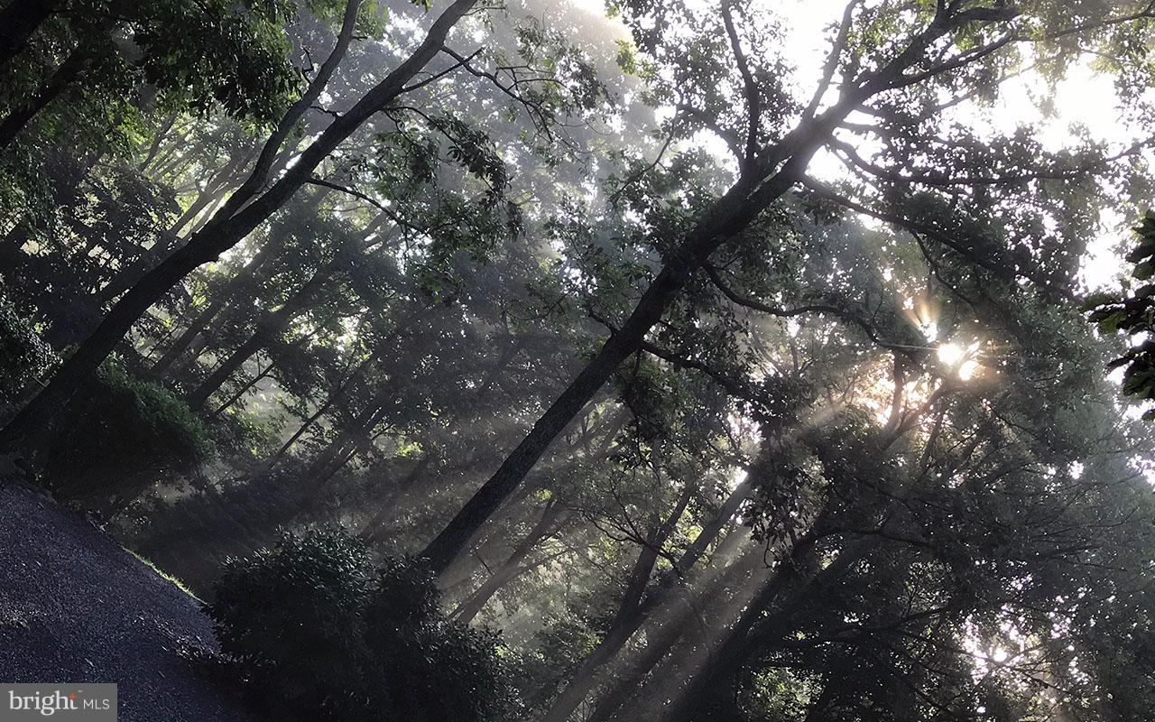 QUAIL RUN MOUNTAIN - Residential