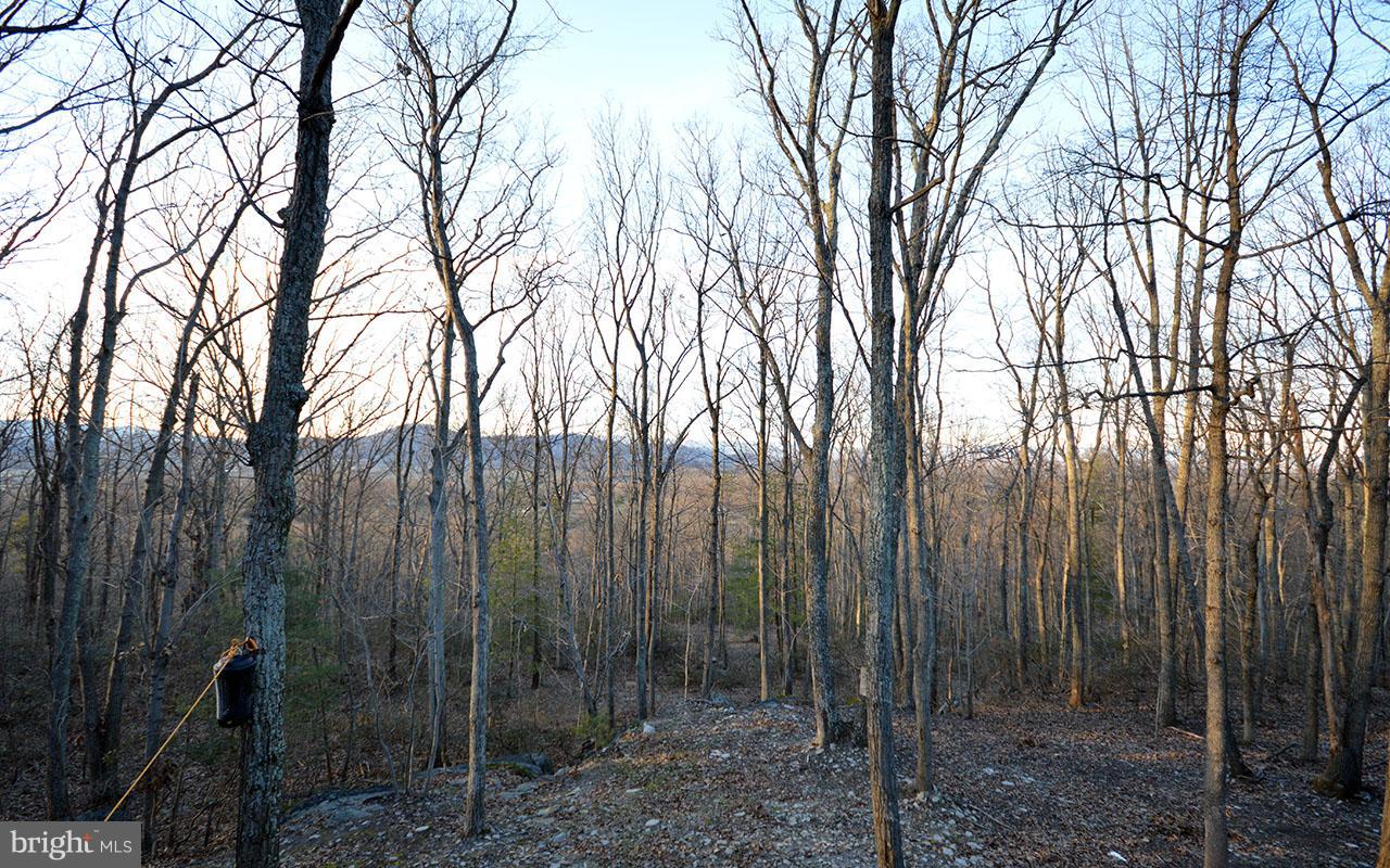 QUAIL RUN MOUNTAIN - Residential