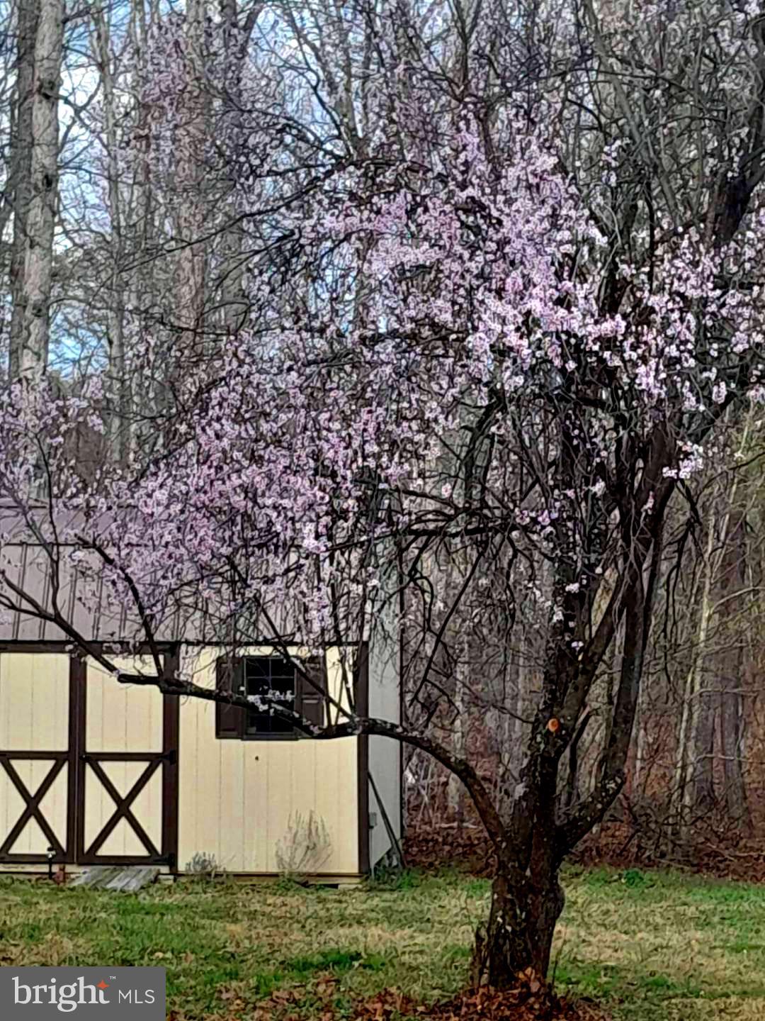 ARCADIA WOODS - Residential