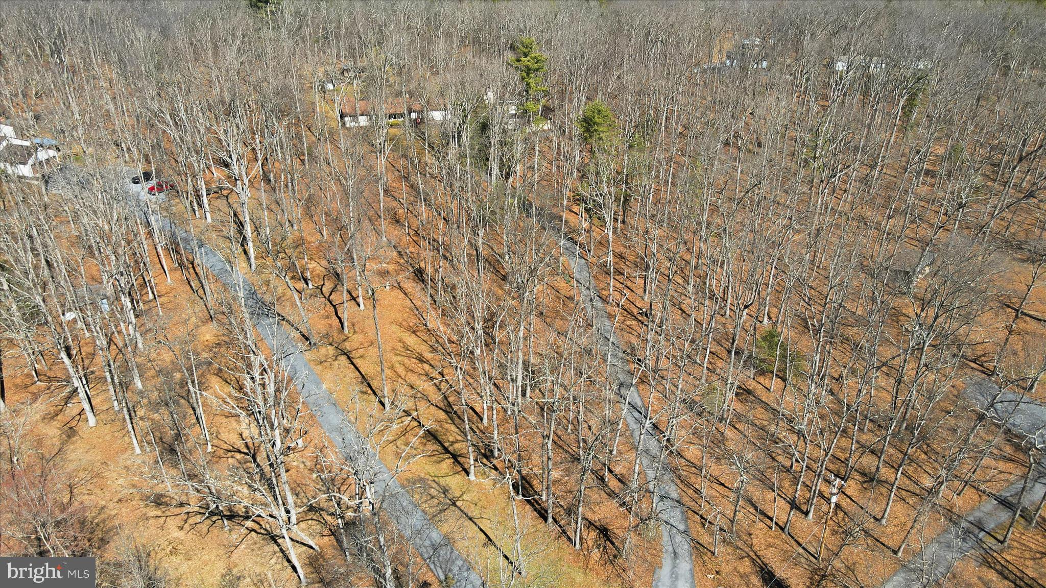 ARCADIA WOODS - Residential