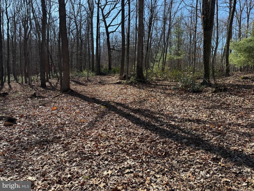 Don't Miss Out! Nestled just a short walk from 8, 000 acres of public hunting land you will find this secluded 4 acres of raw land waiting for you to make it your own! Located in Hampshire County, the oldest county in West Virginia, this property is only 20 min away from the nearest town of Romney, WV where you will find orchards, shopping, dining and a hospital. There is a seasonal stream that runs at the lower end of these lots. Across the street from these lots is a cabin and abutting lot for sale by same owner. You can see that listing at MLS#: WVHS2005860. Whether you're looking for a hunting or a peaceful getaway this property offers endless possibilities. The mossy landscape adds to its natural charm, and the tranquil setting is sure to draw you in. Plus, fiber-optic high-speed internet will be available at this property soon. Schedule your showing today! *Short Mountain Village does not have an HOA. The Covenants (attached) are from 1980's, and no board was ever created.