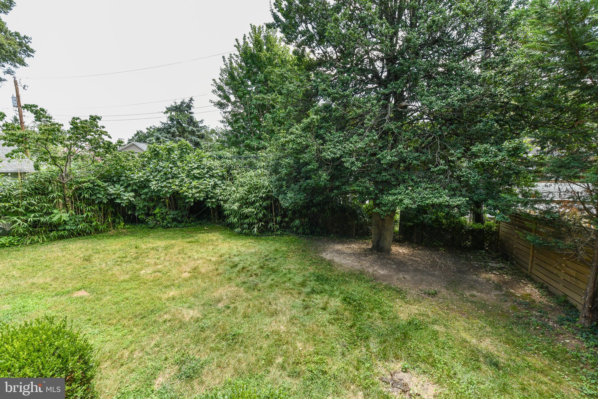 ARLINGTON FOREST - Residential Lease