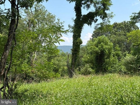 Vacant Land For Sale - LOT 24A 3.22 AC Fox Run<br/> BAKER, WV 26801