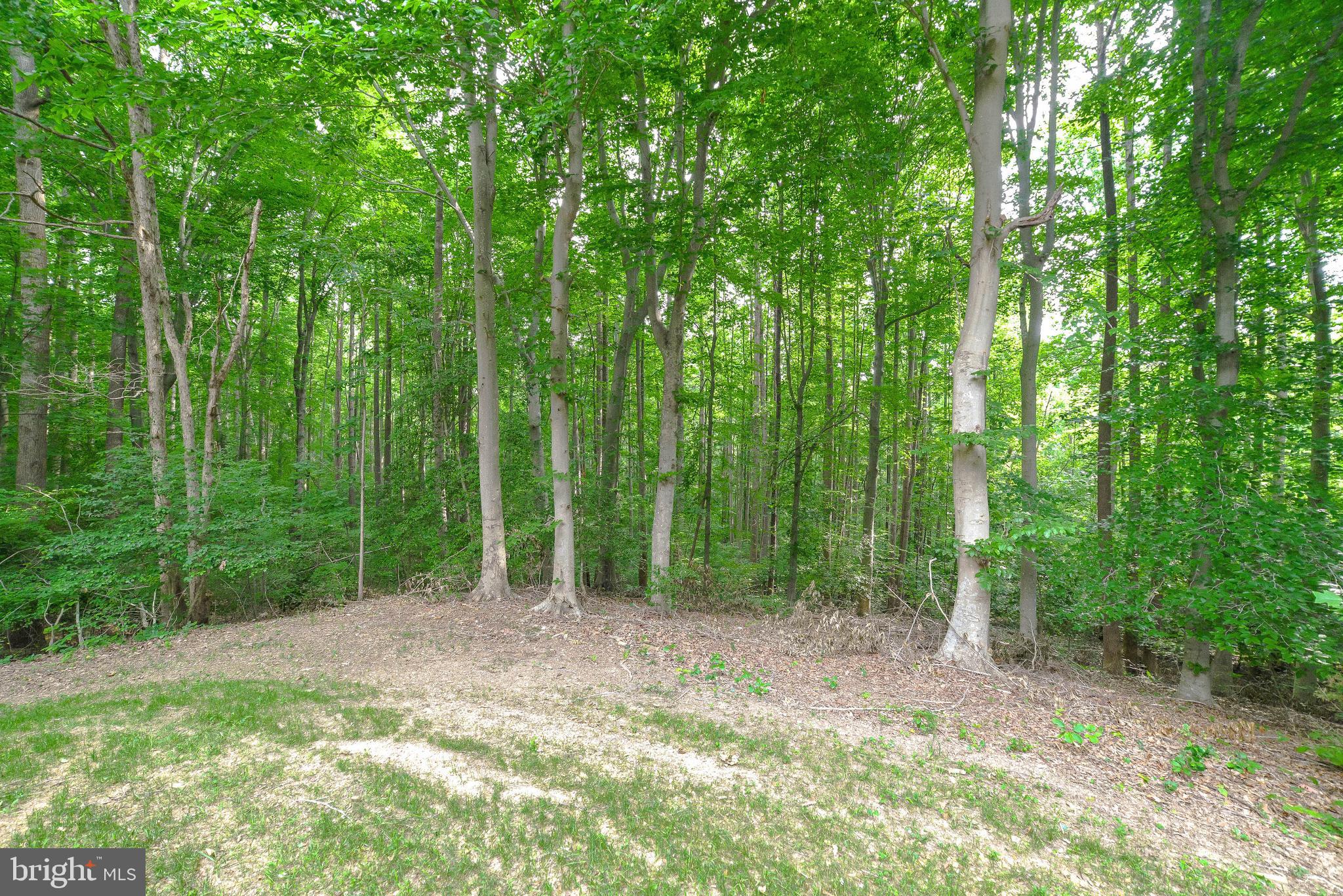 CRESCENT RUN - Residential