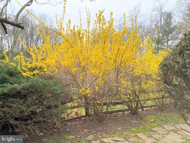 NORTH SHERWOOD FOREST - Residential