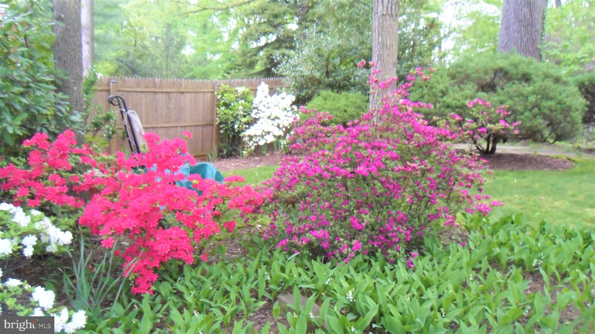 NORTH SHERWOOD FOREST - Residential