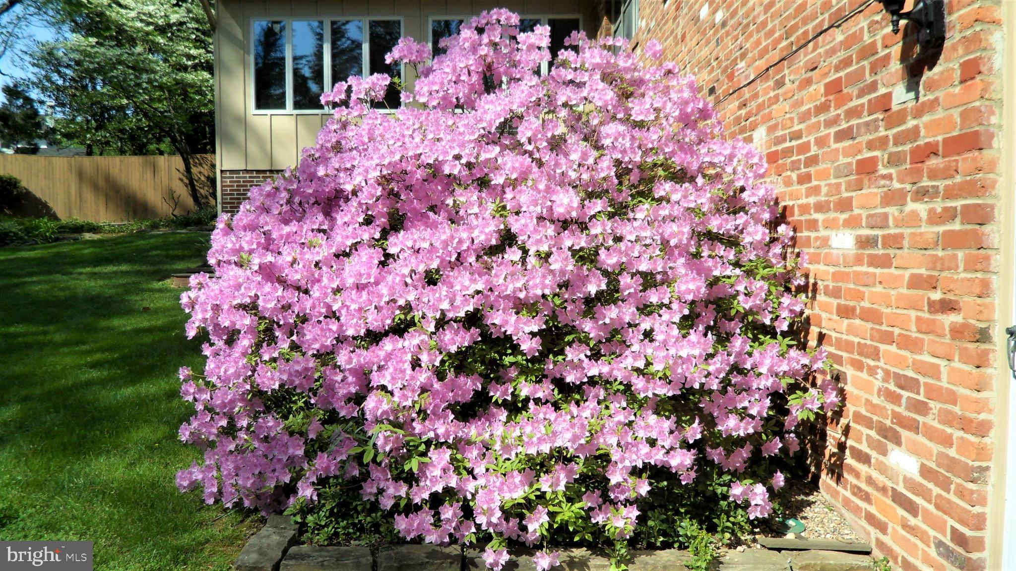 NORTH SHERWOOD FOREST - Residential