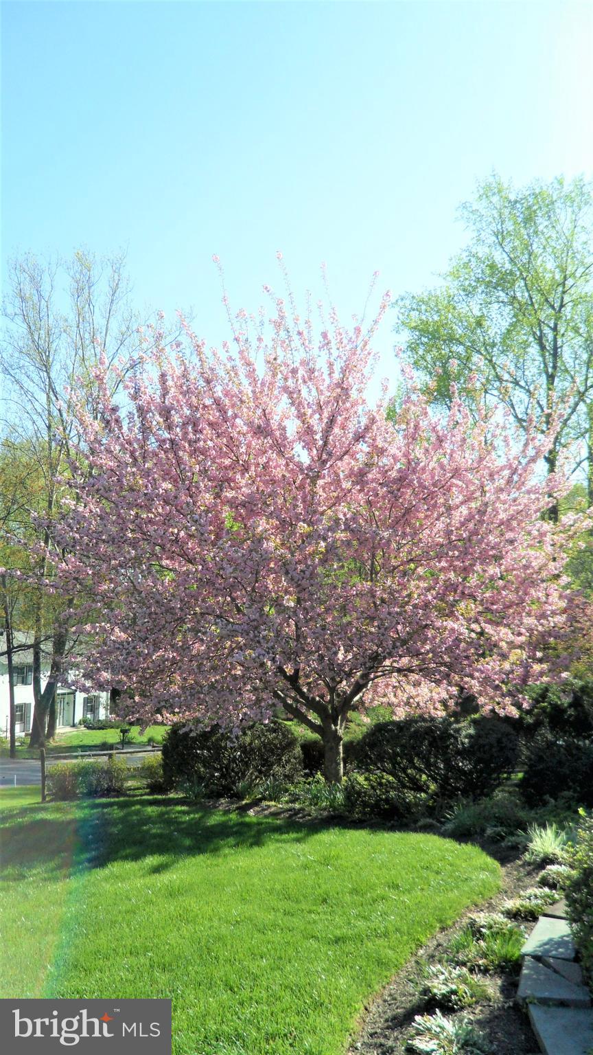 NORTH SHERWOOD FOREST - Residential