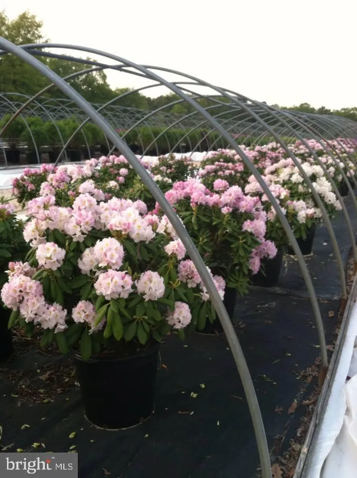 Berlin, New Jersey 08009, United States, 3 Bedrooms Bedrooms, ,2 BathroomsBathrooms,Residential,Active,36457