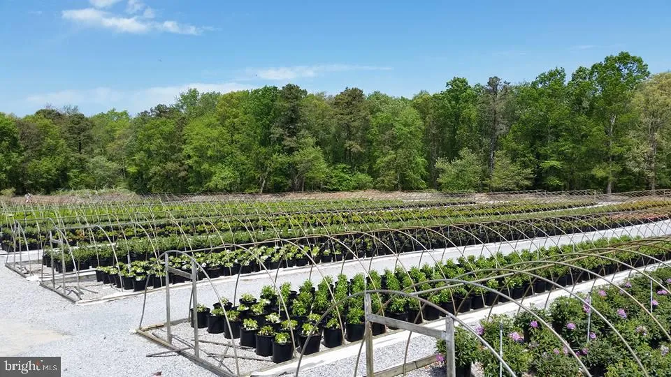 Berlin, New Jersey 08009, United States, 3 Bedrooms Bedrooms, ,2 BathroomsBathrooms,Residential,Active,36457