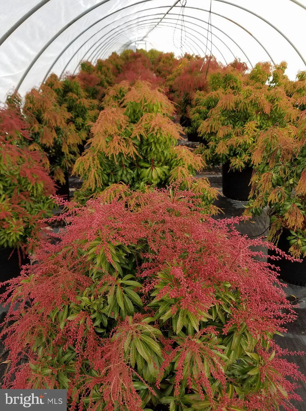 Berlin, New Jersey 08009, United States, 3 Bedrooms Bedrooms, ,2 BathroomsBathrooms,Residential,Active,36457