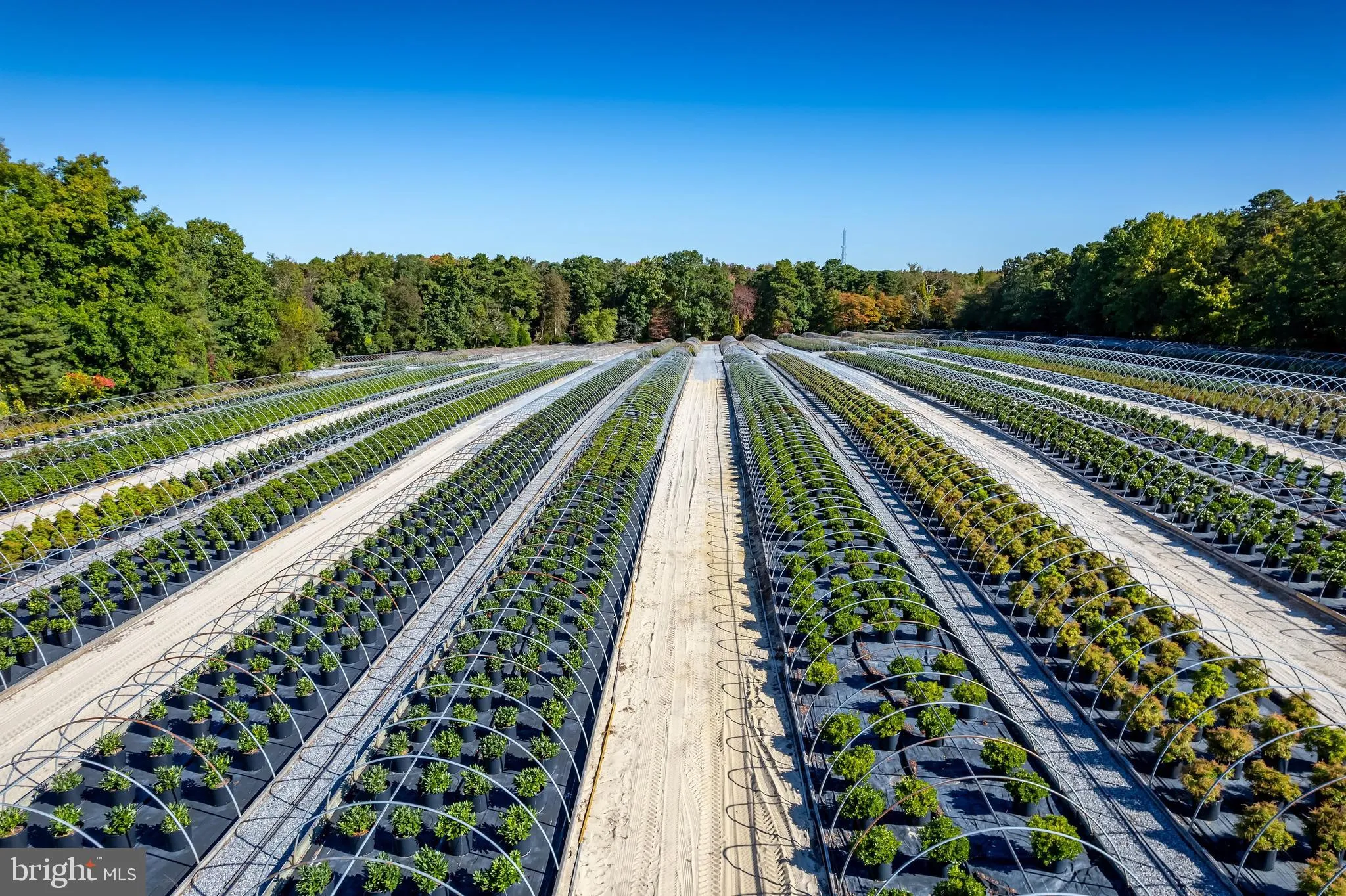 Berlin, New Jersey 08009, United States, 3 Bedrooms Bedrooms, ,2 BathroomsBathrooms,Residential,Active,36457