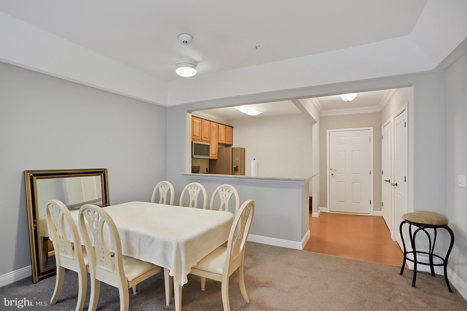 9204 CHARLESTON DRIVE 201