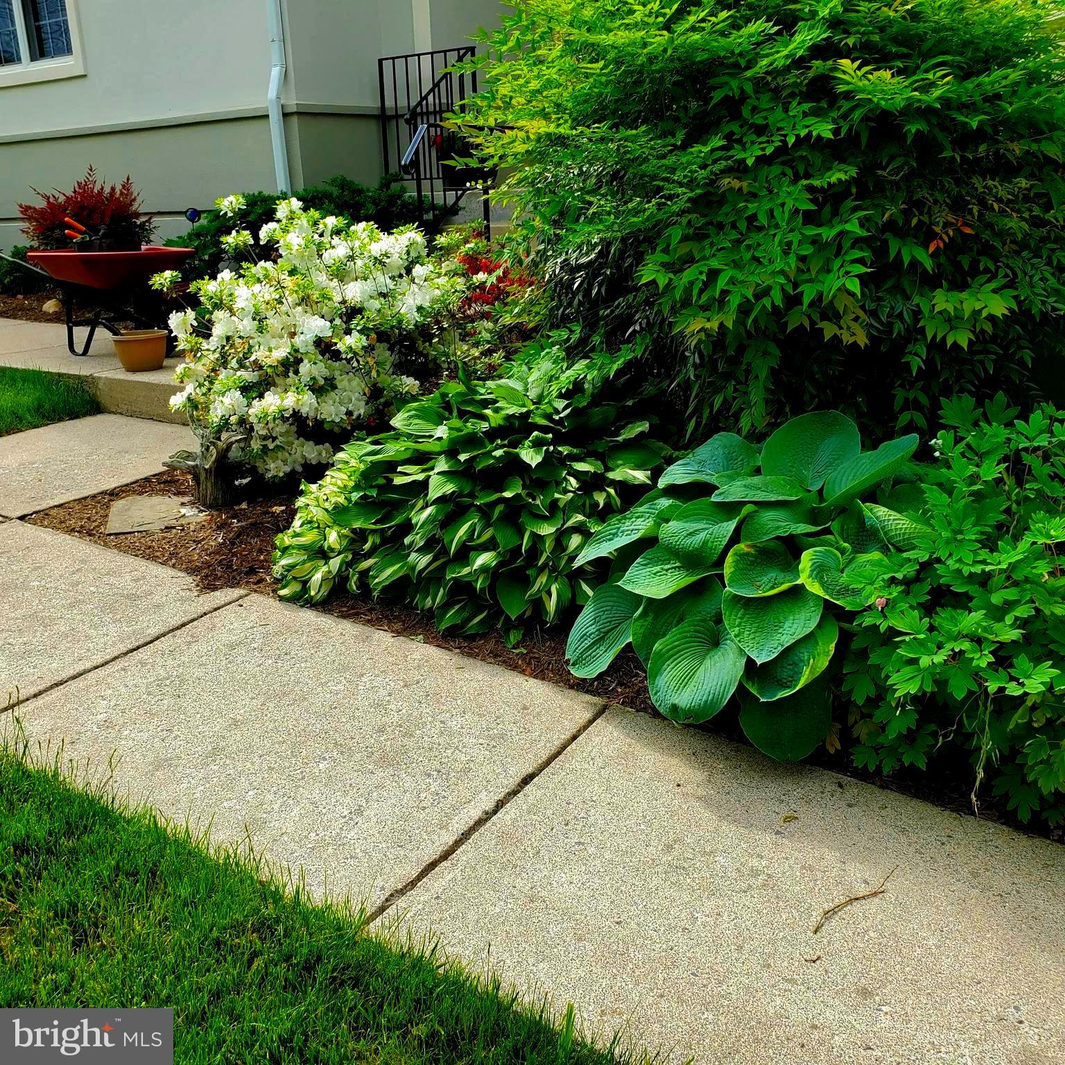 FERNBANK - Residential