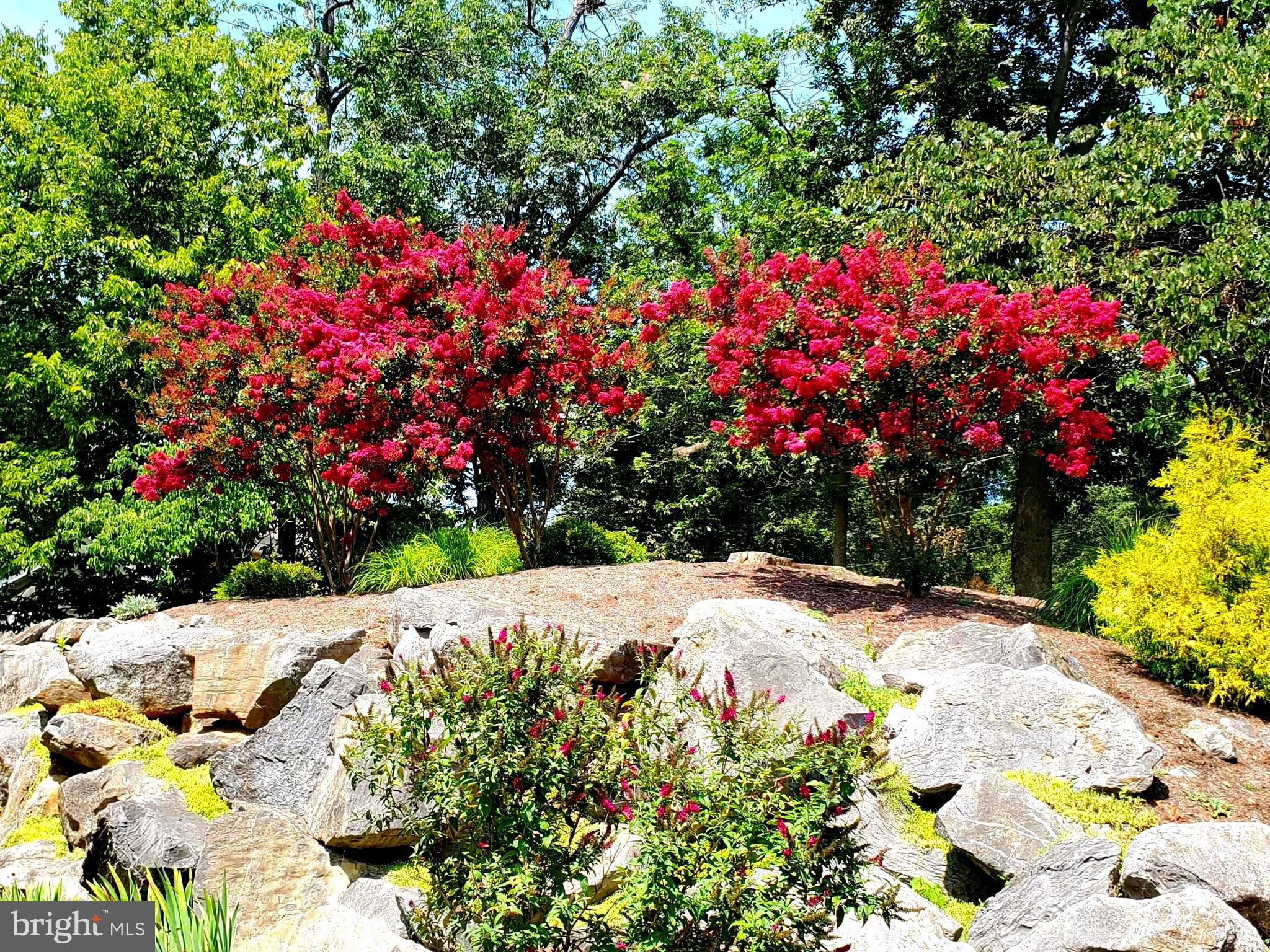 FERNBANK - Residential