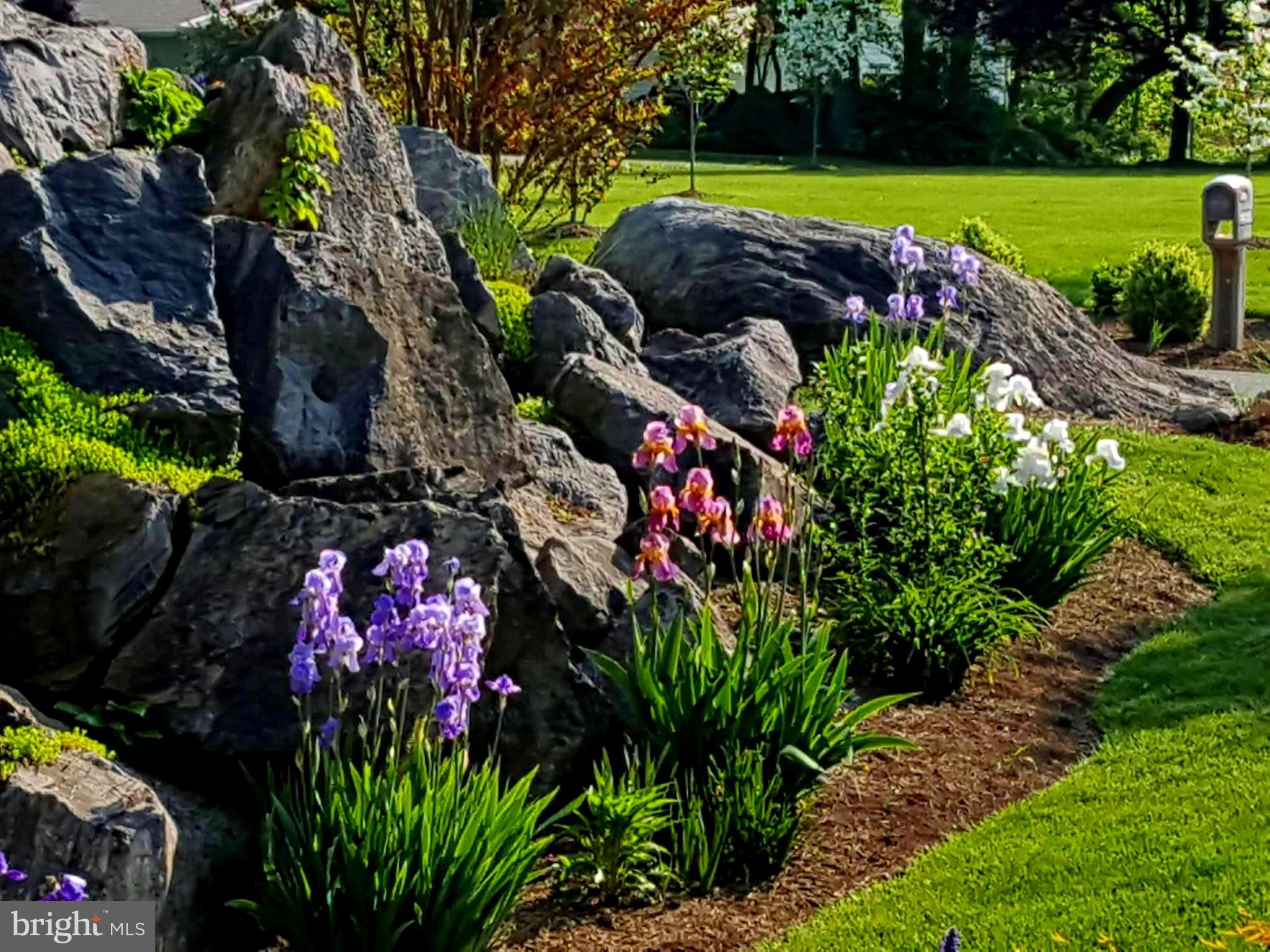 FERNBANK - Residential