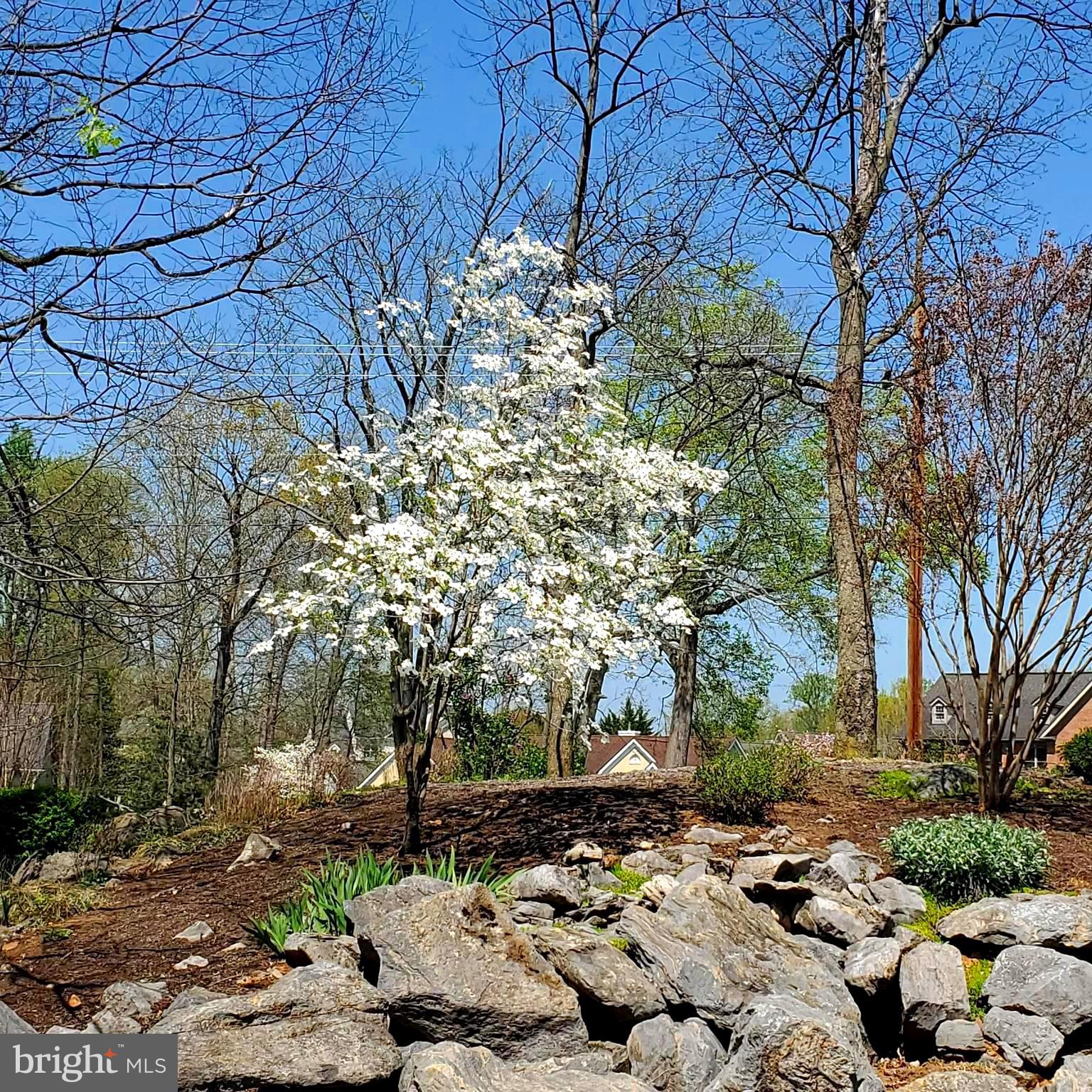 FERNBANK - Residential