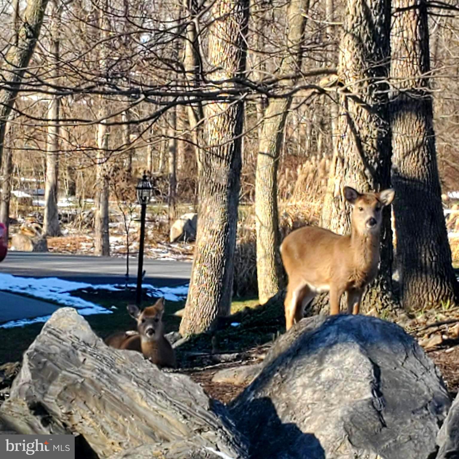 FERNBANK - Residential