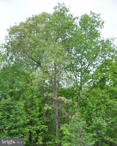 SOUTHLAKE AT MONTCLAIR - Residential Lease