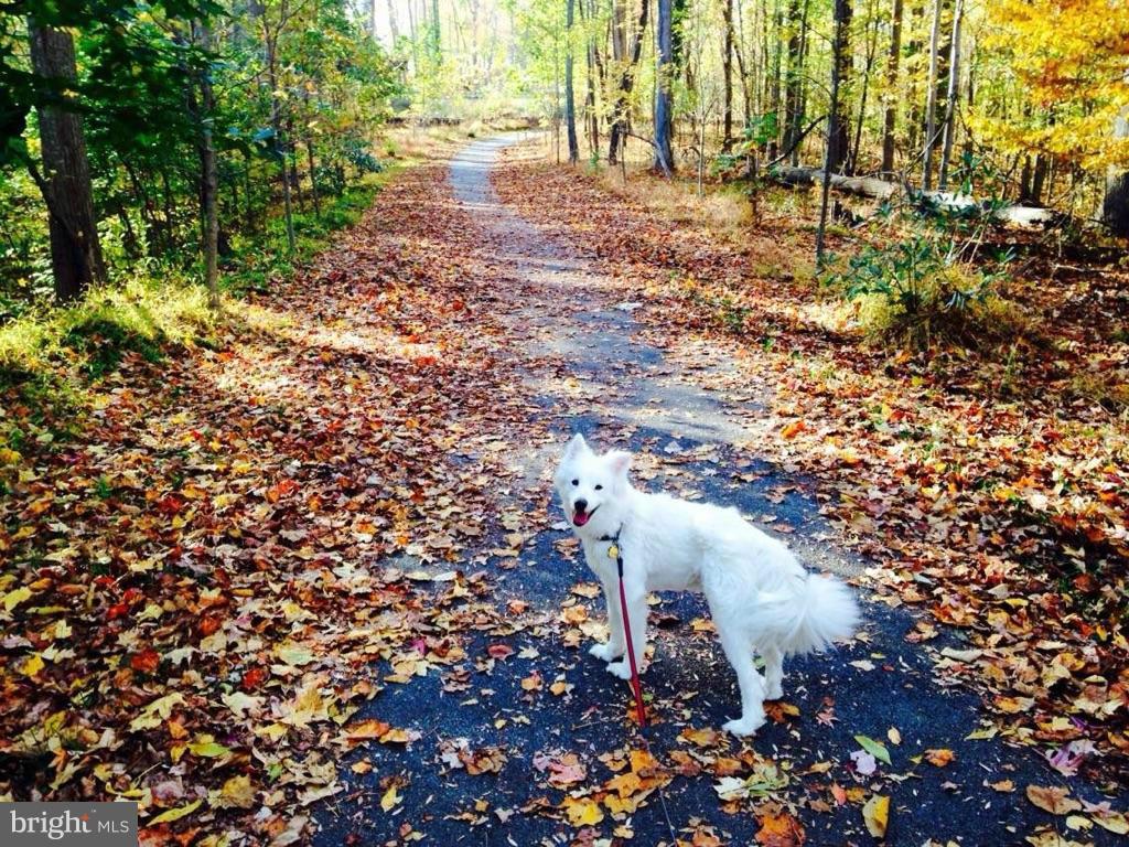 RICHFIELD STATION VILLAGE - Residential Lease