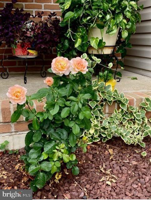 BAY BREEZE ESTATES - Residential