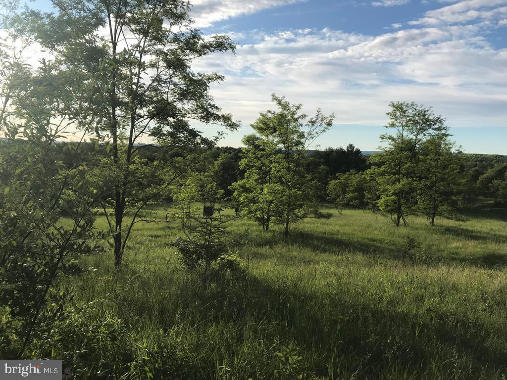 Don't miss out on the chance to own this one of a kind with panoramic views! Meadowed acreage of gently rolling topography containing numerous viable locations for your country homestead estate or for a recreational lodge. Enjoy the wooded acreage with mature trees and plenty of trophy sized wildlife.Two separate parcels being conveyed together. Electric service nearby. Some portions were mined but a considerable amount of unmined acreage remains. Close to Curwensville Lake, Prince Gallitzin State Park, Rails to Trails, and Eagles Ridge Golf Club. Contact agent for entry to the property.