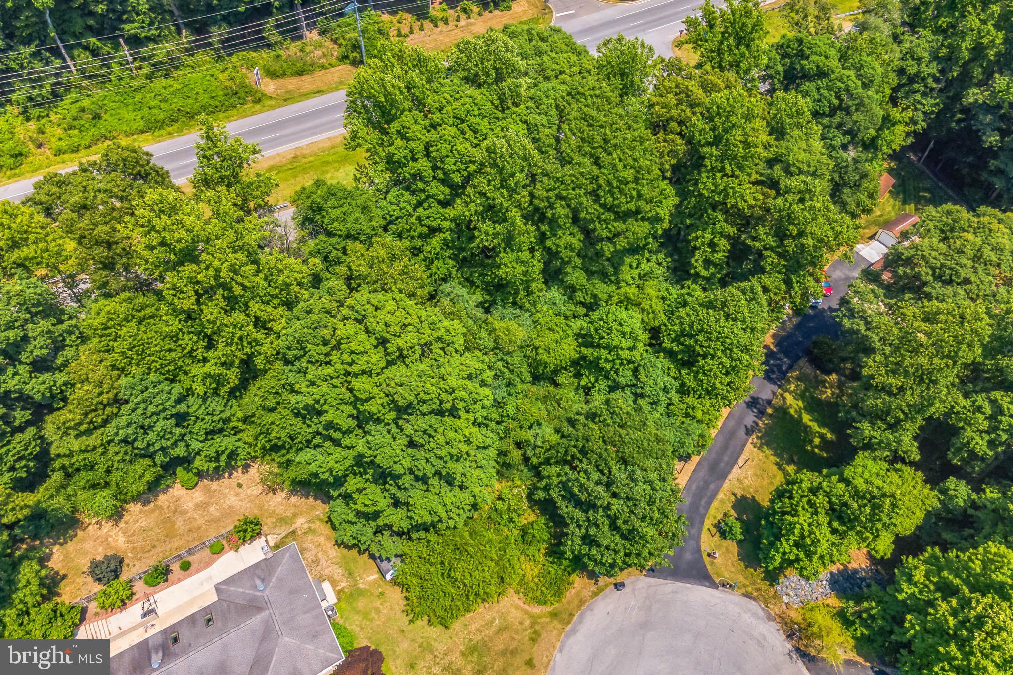 9665 TARA DRIVE