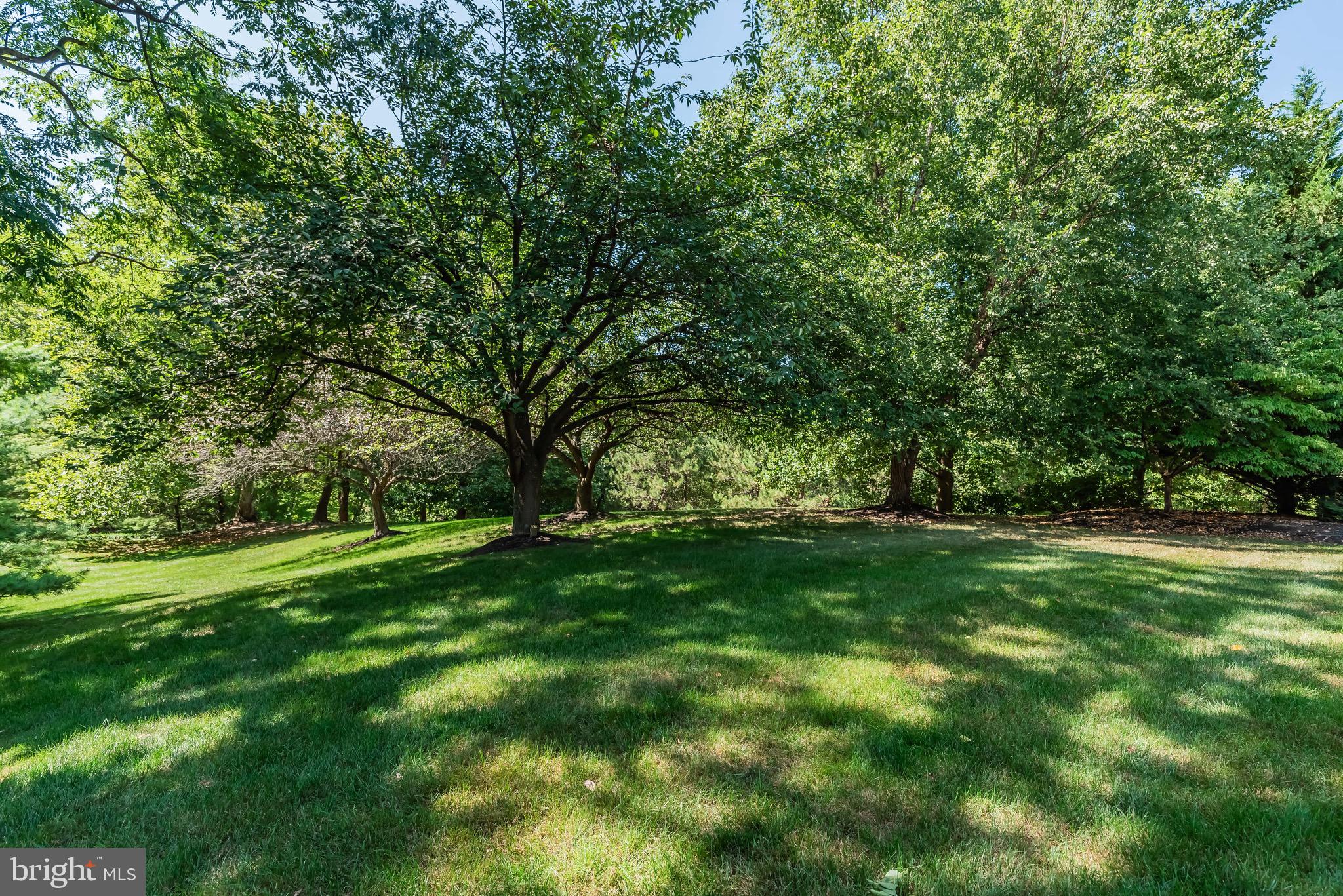 WHITE OAKS - Residential