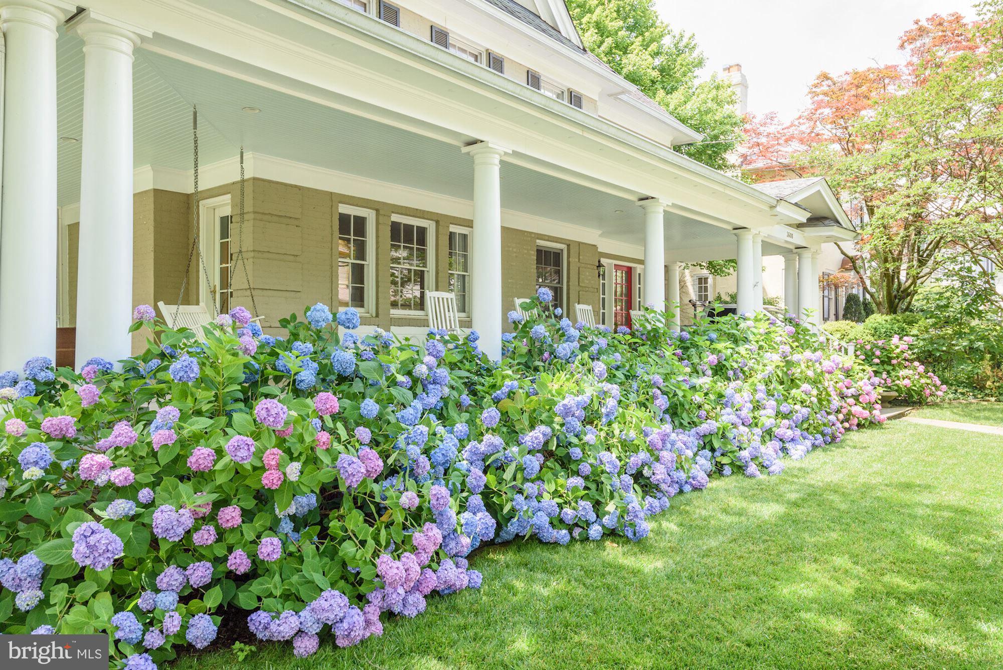 CHEVY CHASE - Residential