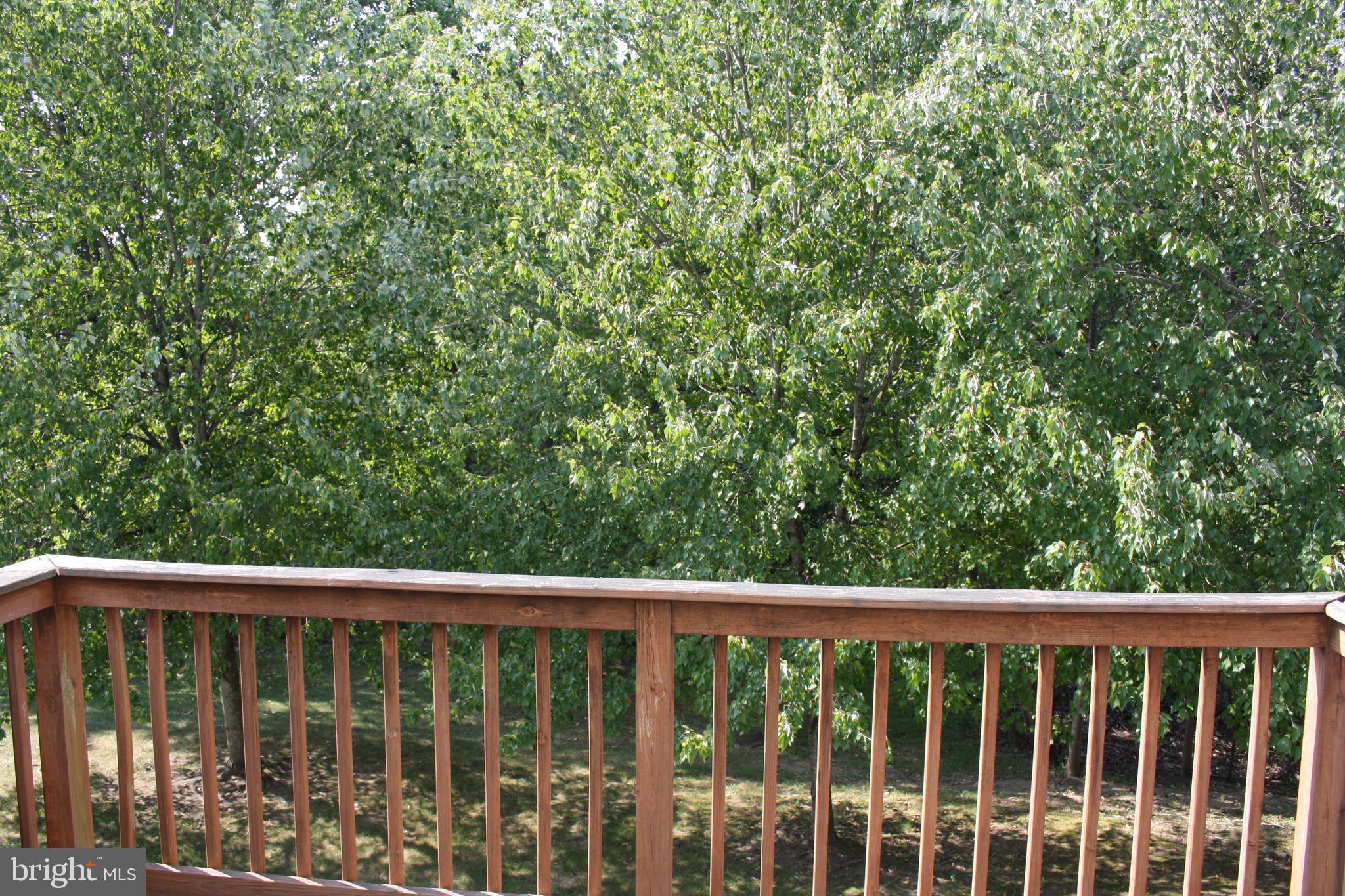 WIMBLEDON COURT - Residential