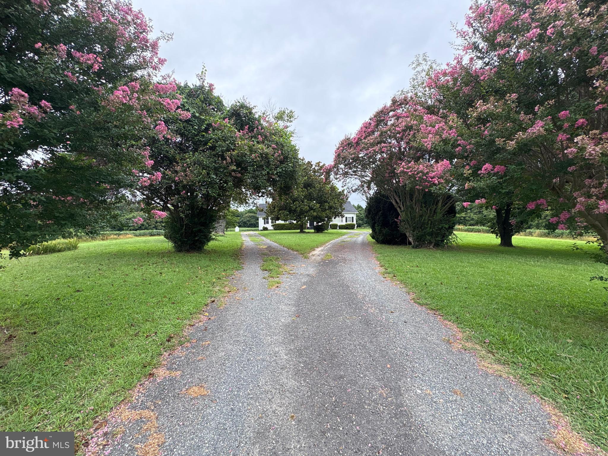 6525 NOMINI HALL ROAD