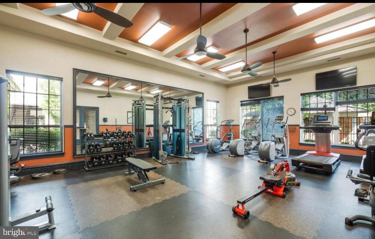 THE ASHMORE - Residential Lease