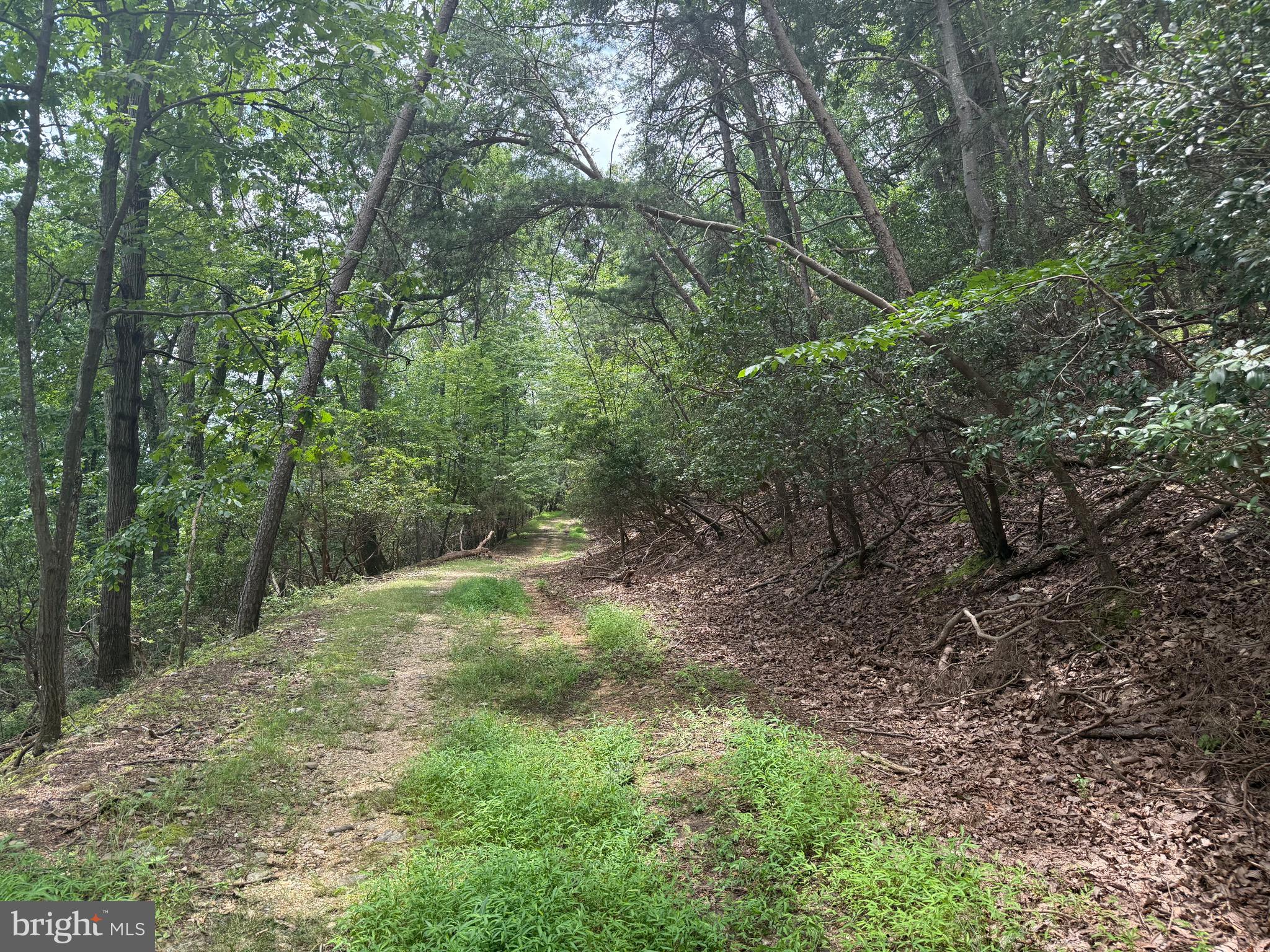 BULL RUN MOUNTAIN ESTATE - Land