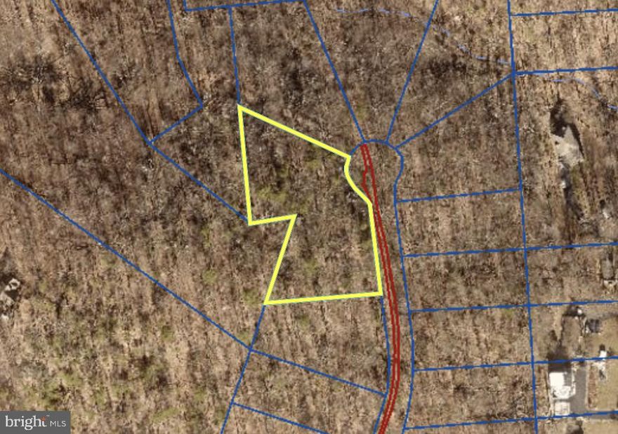 This rare 1.24-acre lot in desirable Bull Run Mountain Estates offers a great opportunity to build in a peaceful, wooded setting with beautiful views. Whether you're planning a custom home or a quiet weekend escape, this property provides the space and scenery to bring your vision to life—all within easy reach of major destinations in Northern Virginia.  No HOA! A perc/soil test is already complete and there are two possible drainfield sites on the lot.  Electric is on the road and community water is available from Prince William county.  Don't miss your opportunity to be the next owner of this beautiful property!