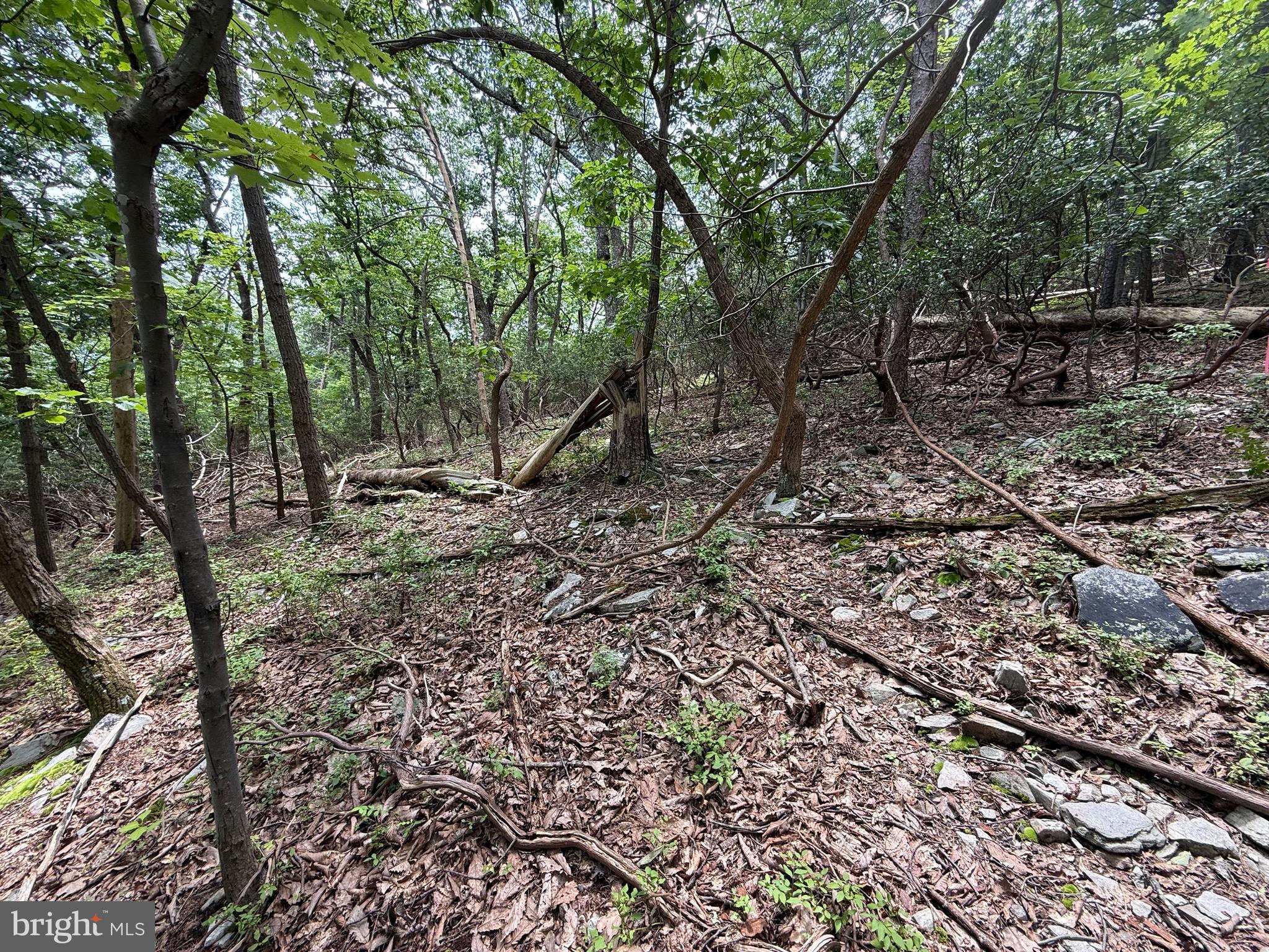 BULL RUN MOUNTAIN ESTATE - Land