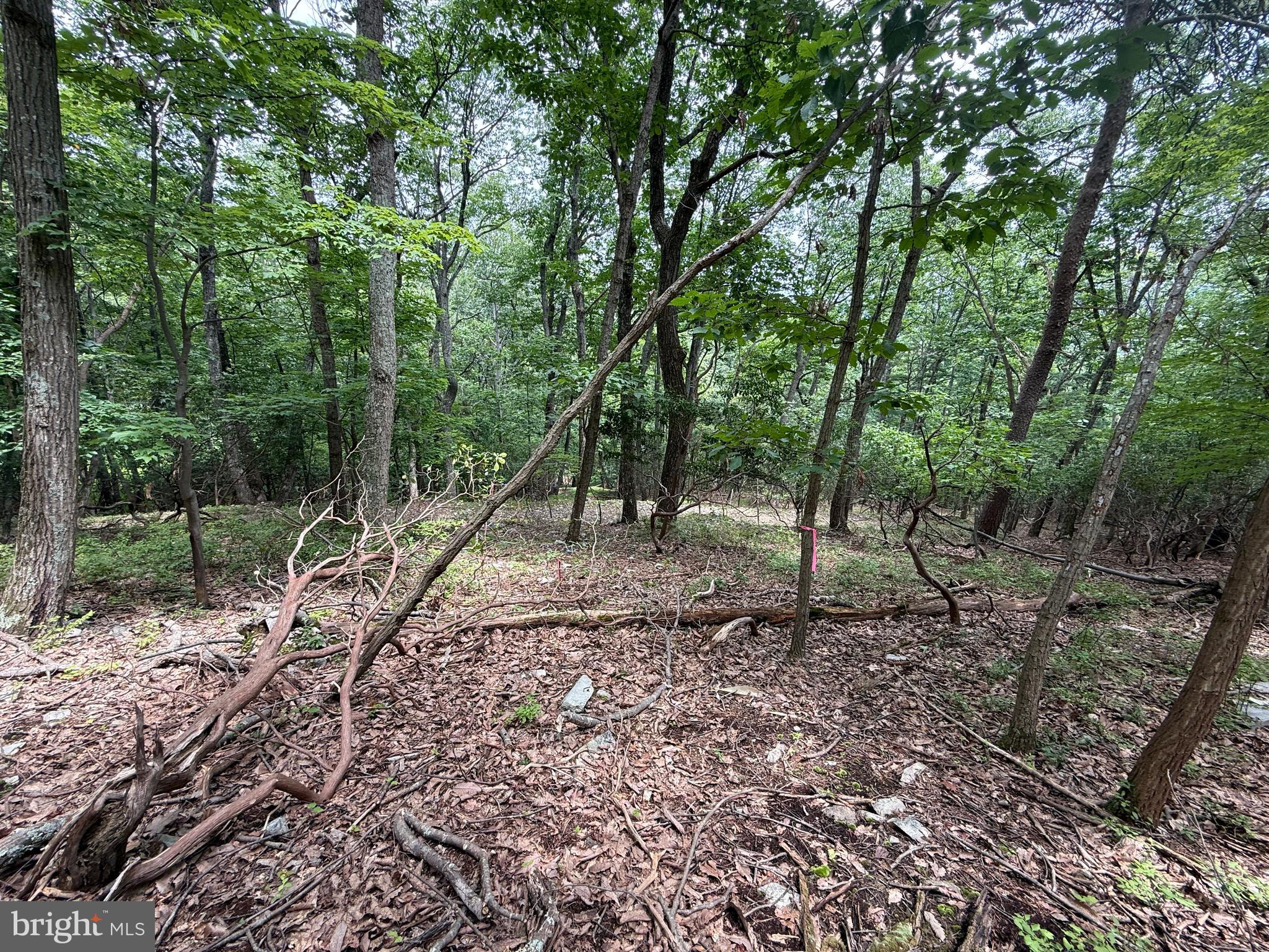 BULL RUN MOUNTAIN ESTATE - Land