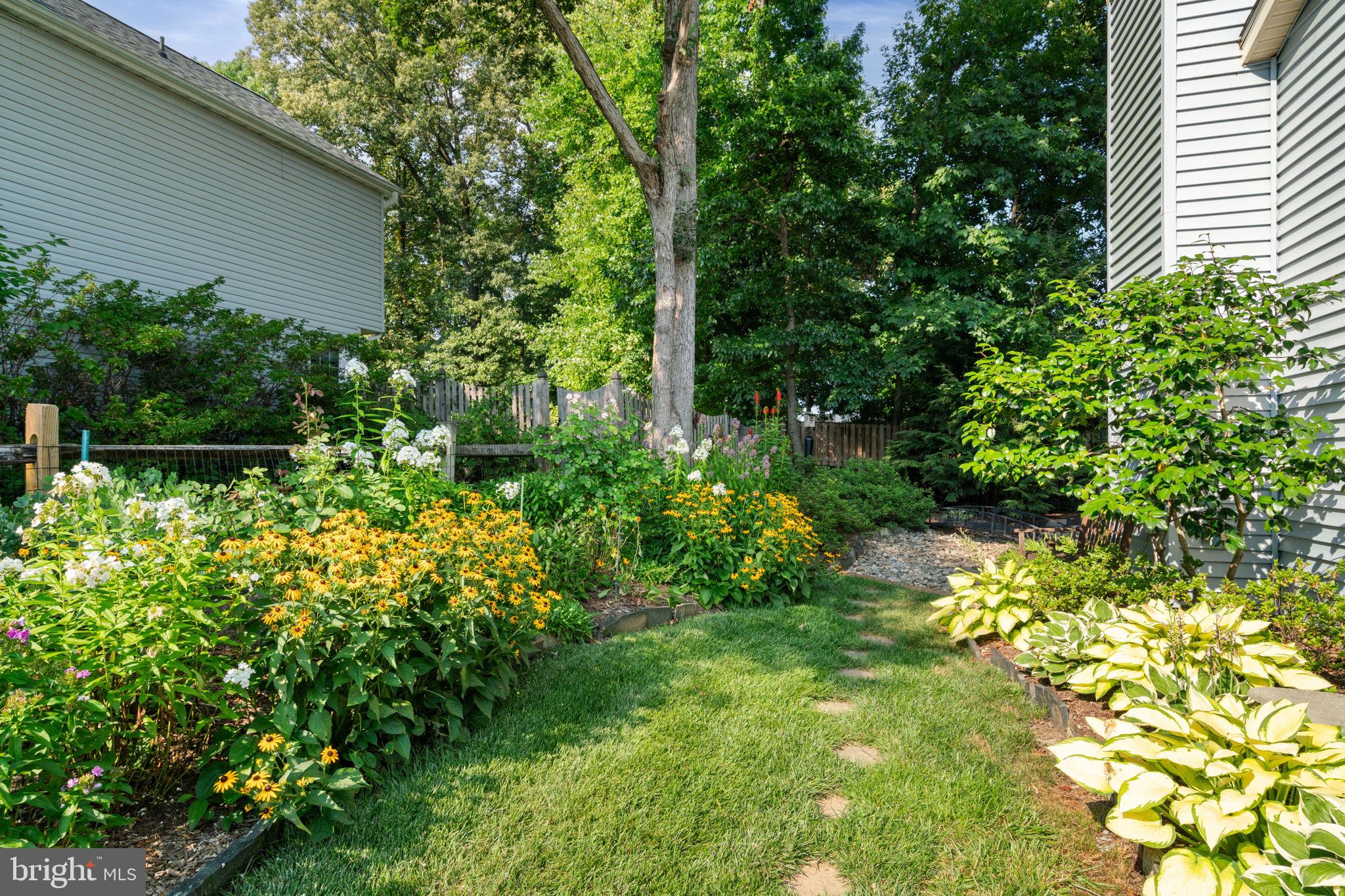 CHERRY RUN - Residential