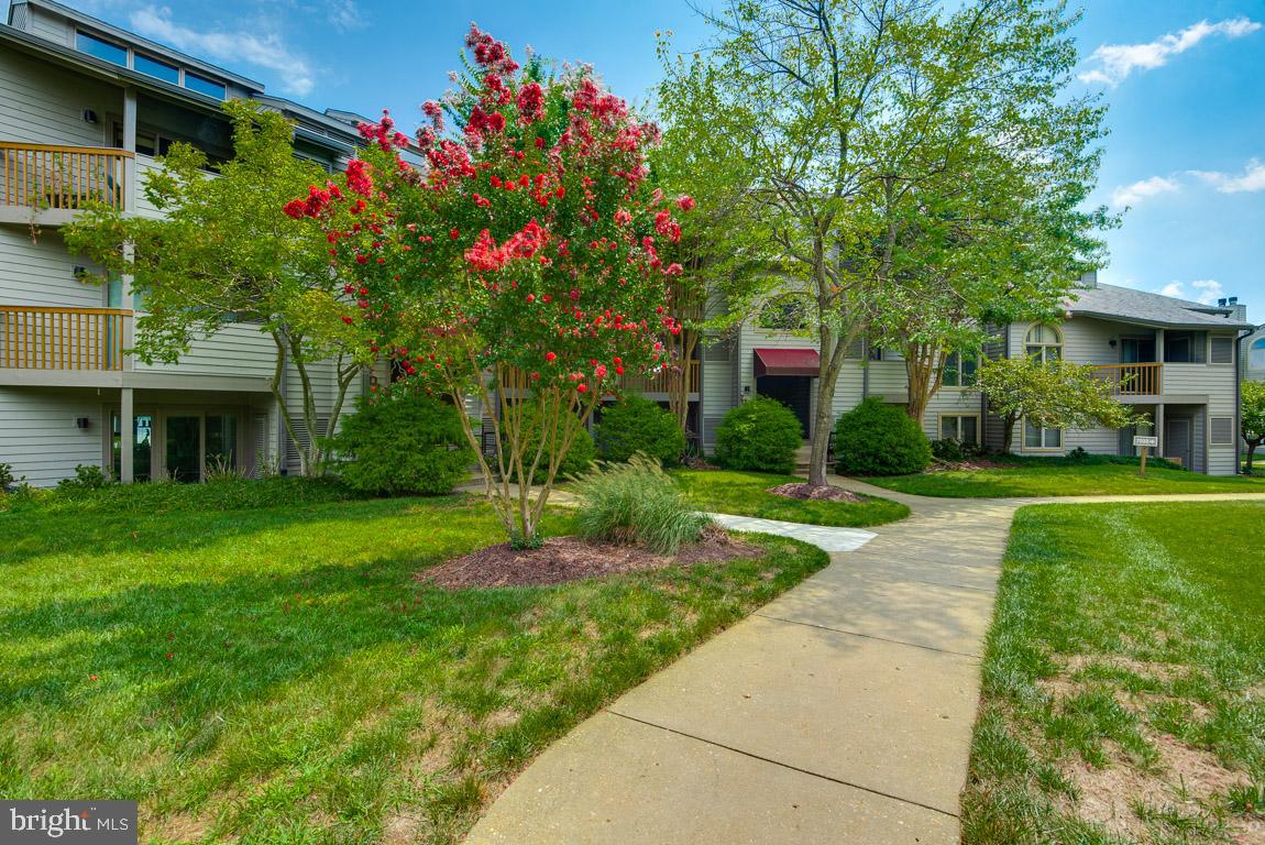 VILLAGE OF CHESAPEAKE HARBOUR - Residential Lease