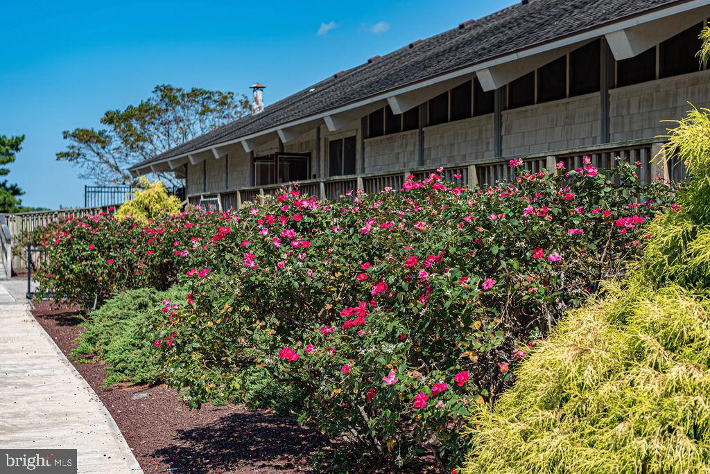 OCEAN PINES - THE PARKE - Residential