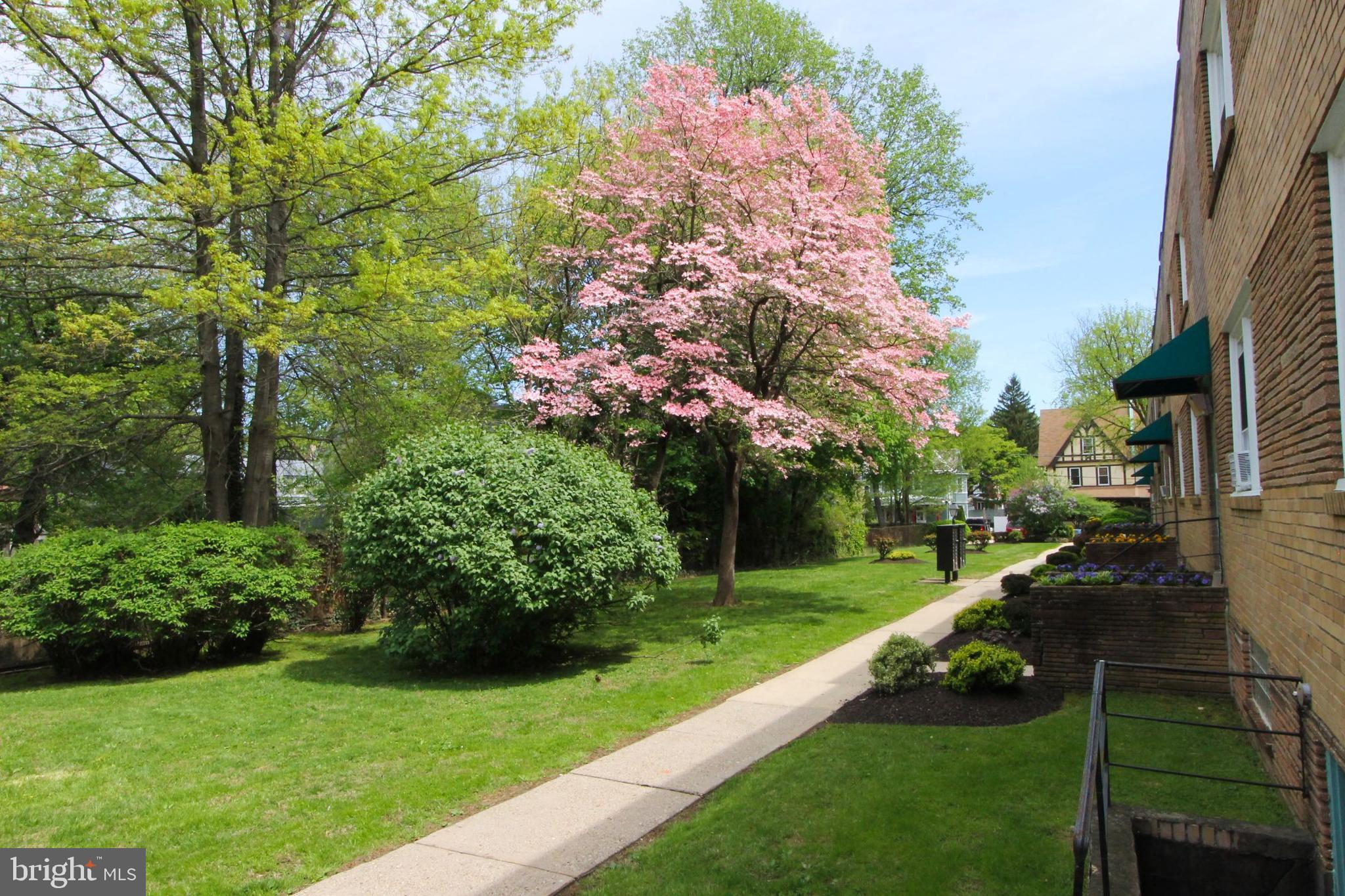 EAST OAK LANE - Residential Lease