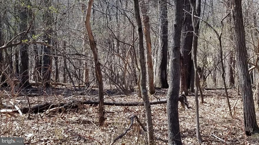 8.5 acres of wooded land just off Eagle School Rd. Wet weather stream runs through property. Possible building sites.