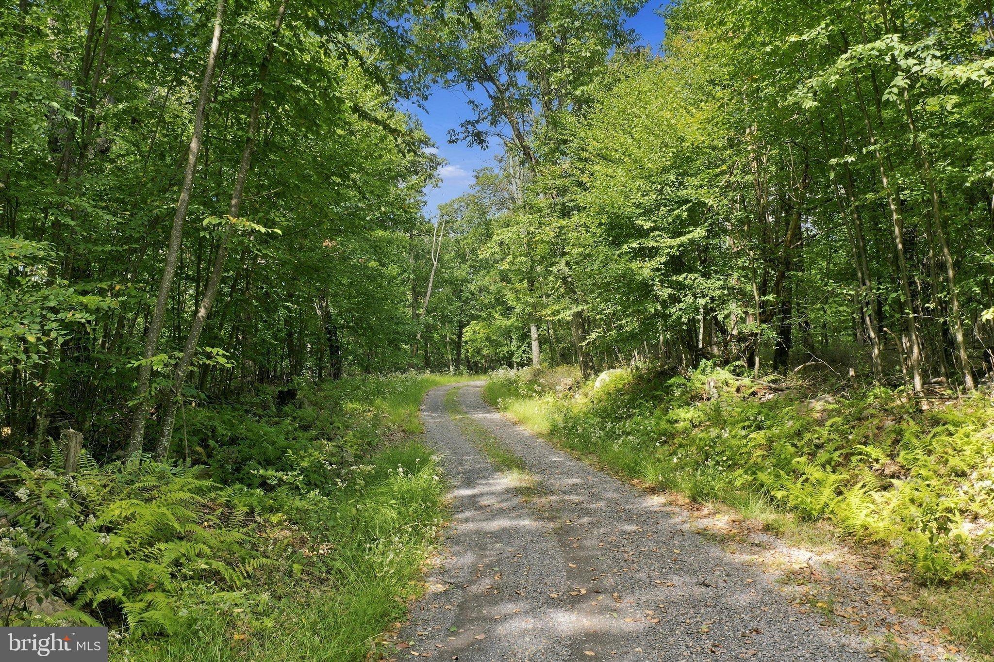 Lot 63 HEMLOCK DRIVE
