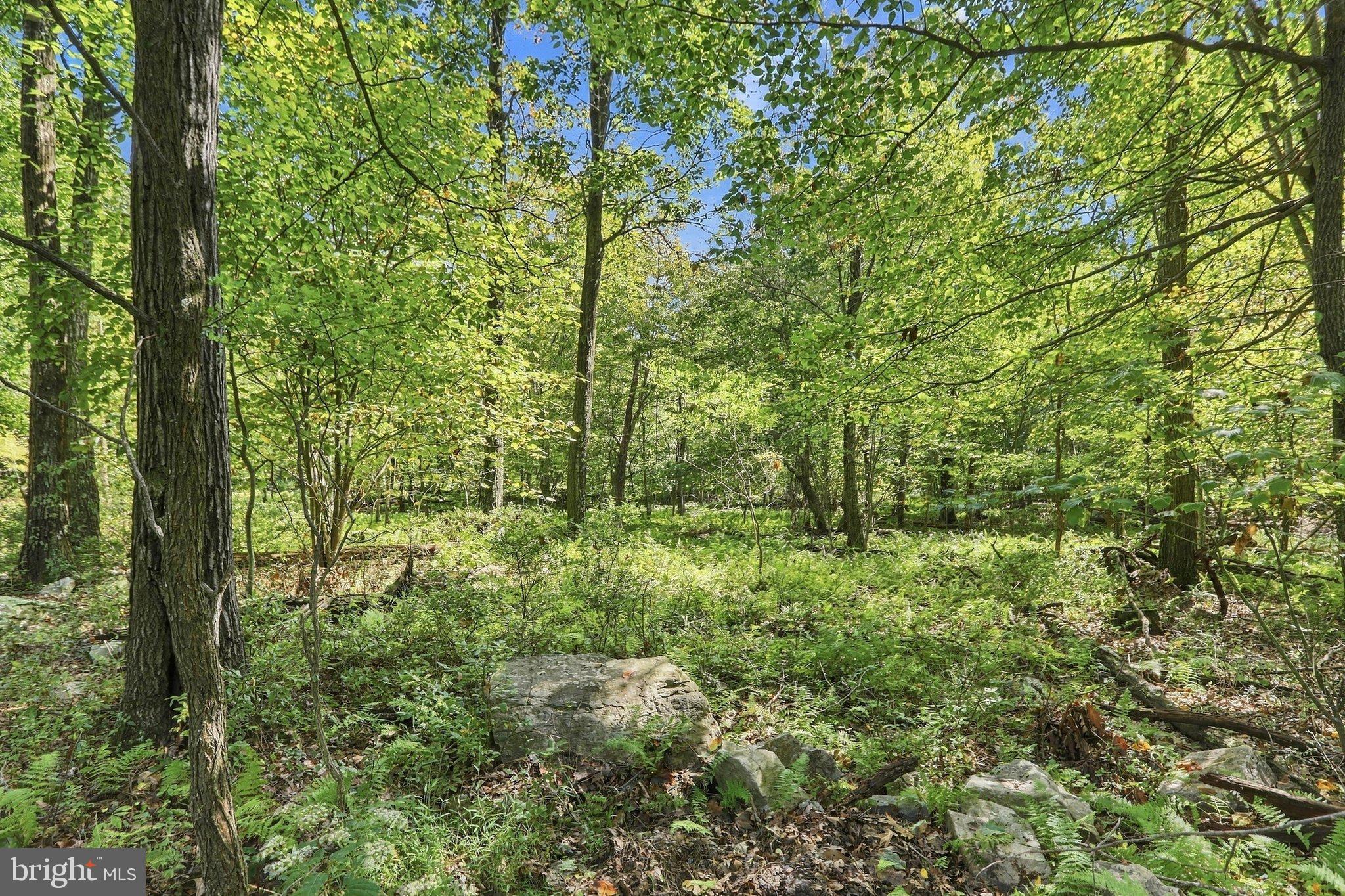 Lot 63 HEMLOCK DRIVE