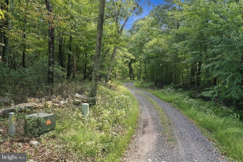 Vacant Land For Sale - LOT 63 Hemlock Drive<br/> Hardy County, BAKER, WV 26801