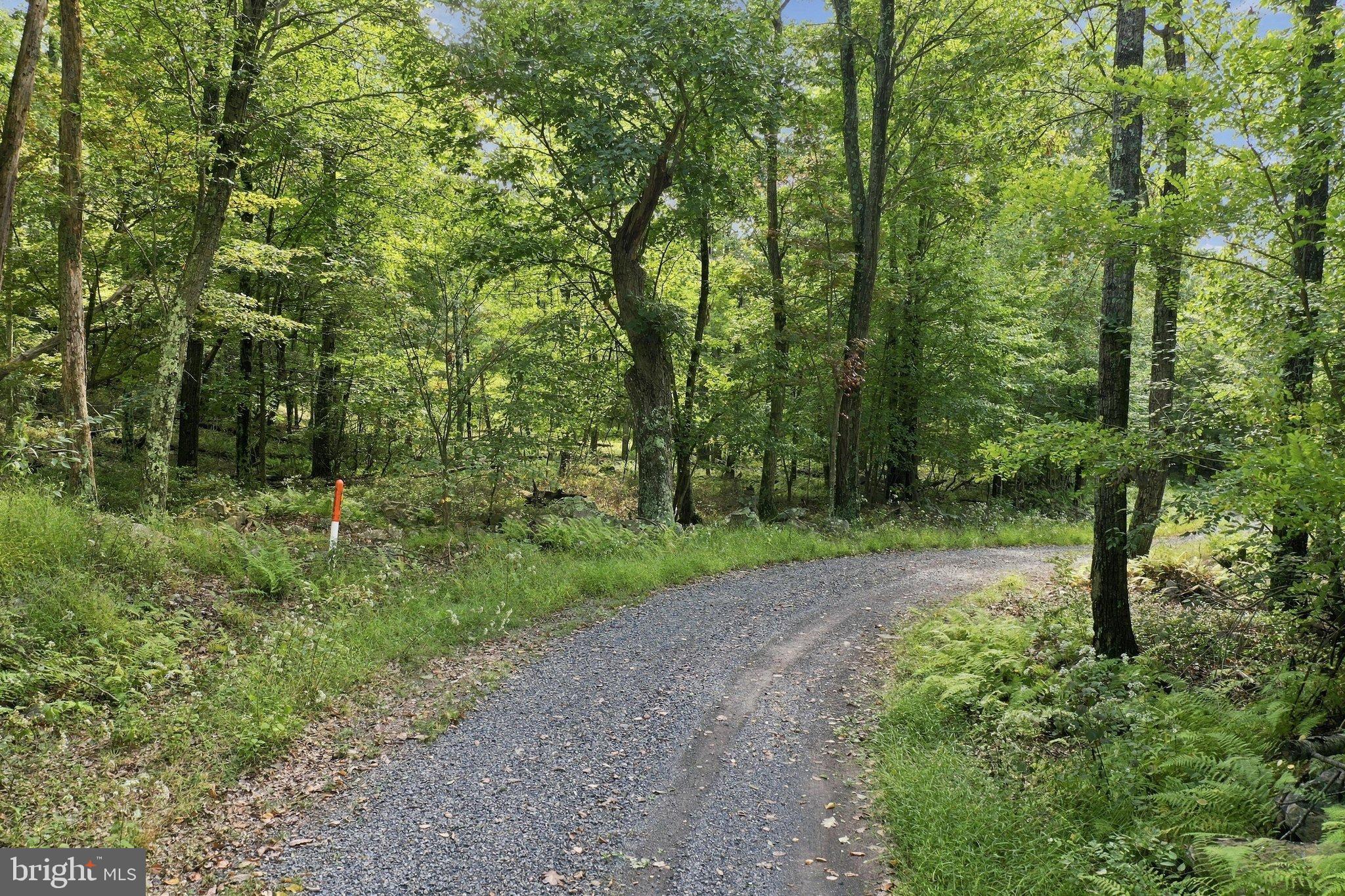 Lot 63 HEMLOCK DRIVE