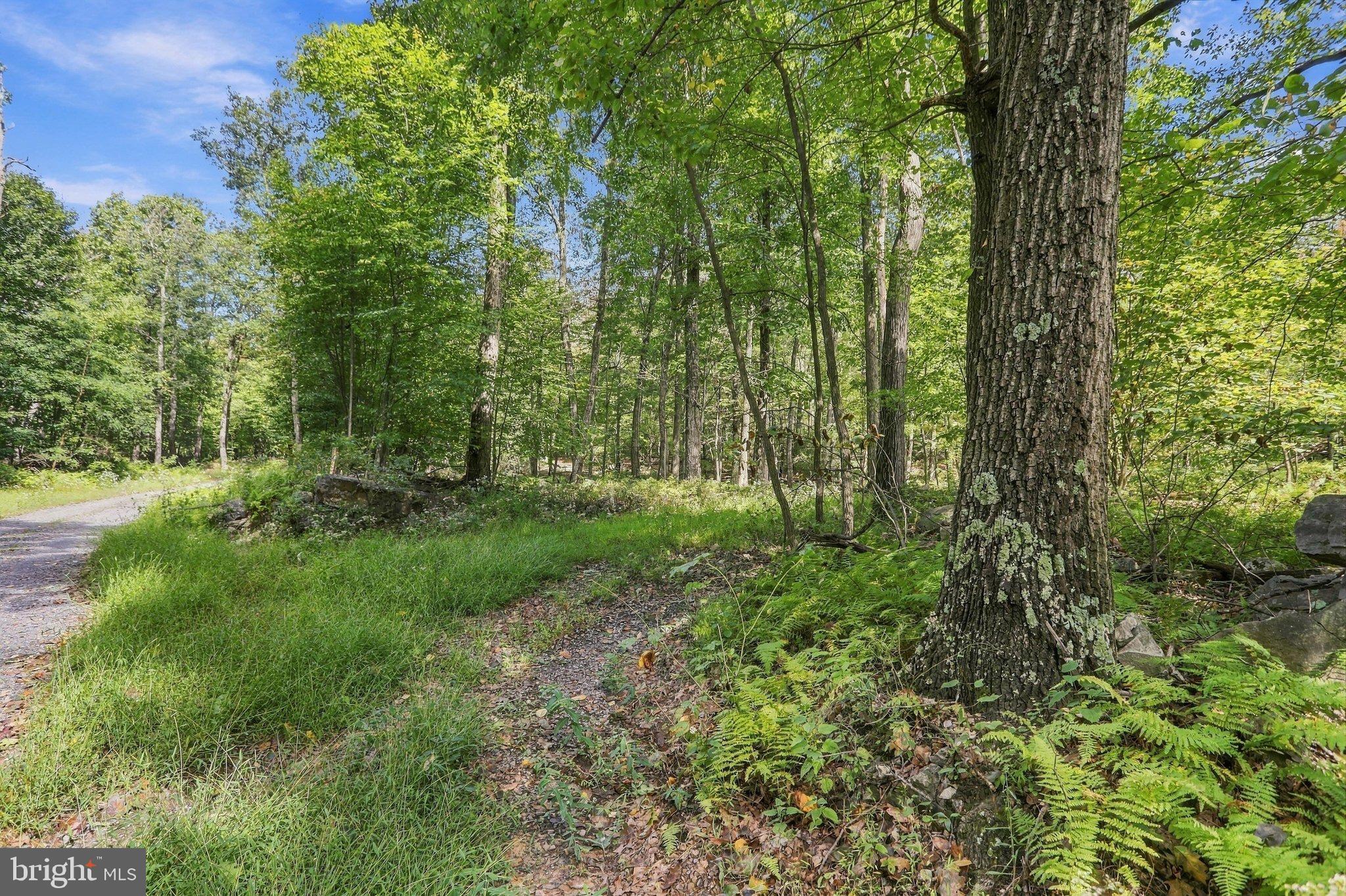 Lot 63 HEMLOCK DRIVE