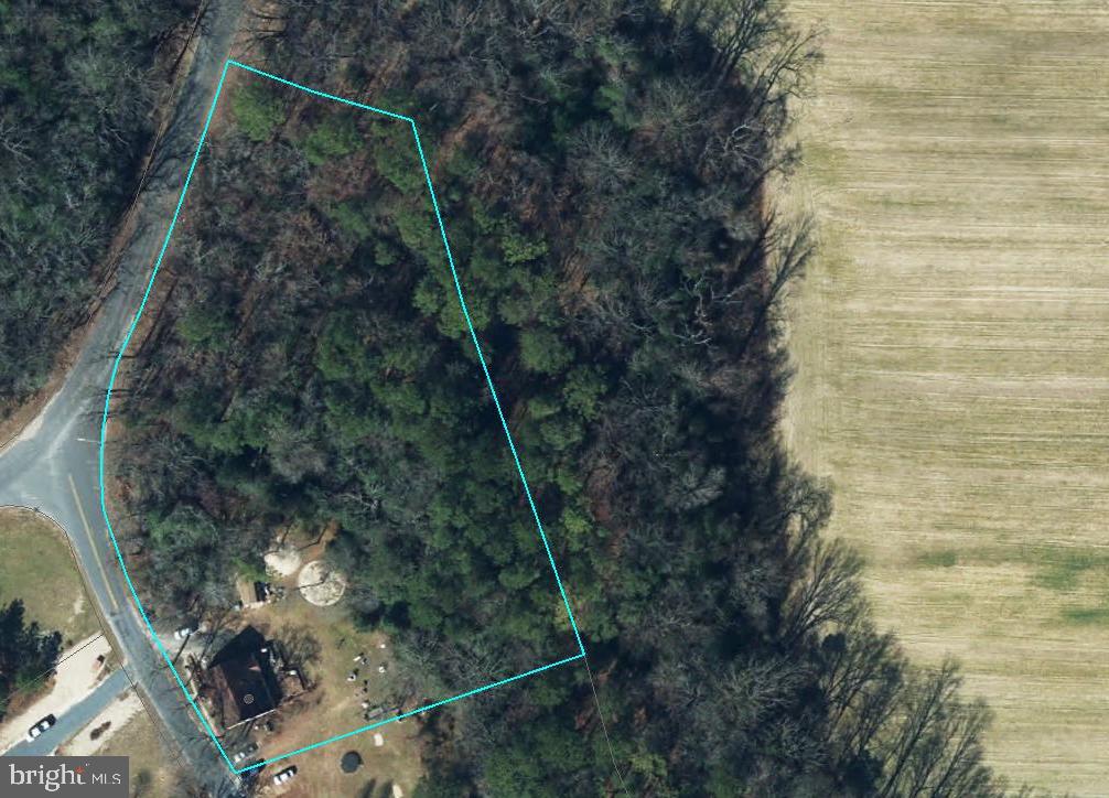 11699 NORRIS TWILLEY ROAD