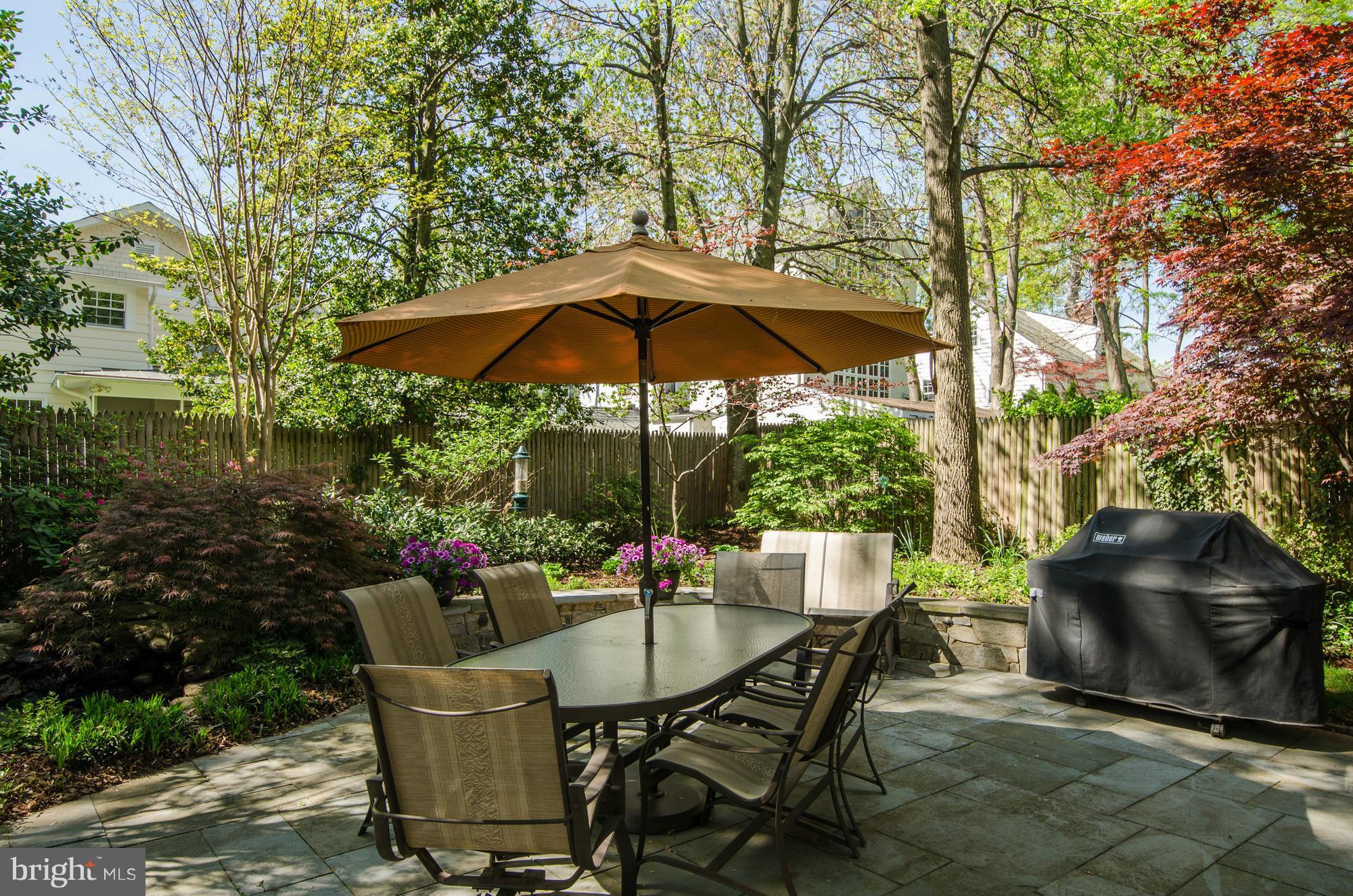 CHEVY CHASE - Residential