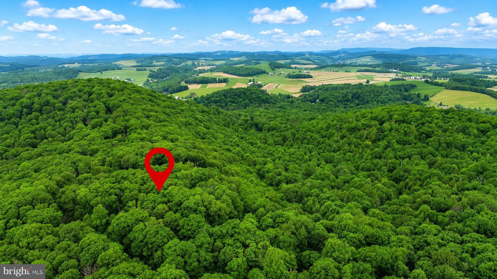 254 LITTLE MOUNTAIN ROAD